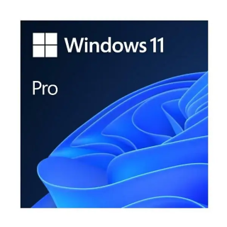 MICROSOFT WINDOWS 11 PRO OEM FQC-10538