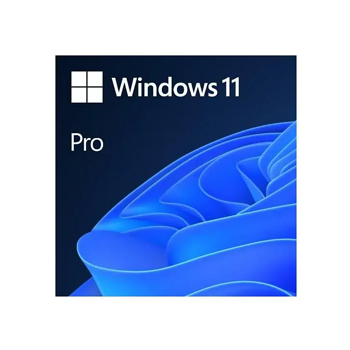 MICROSOFT WINDOWS 11 PRO OEM FQC-10538