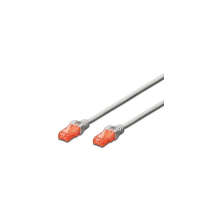 CAVO RETE CAT.6 UTP 305MT INDOOR MATASSA