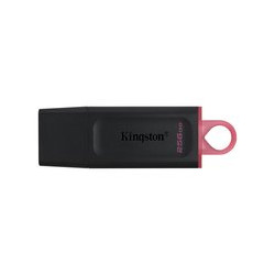 FLASH DRIVE KINGSTON USB 3.2  256GB "DataTraveler Exodia" - DTX/256GB