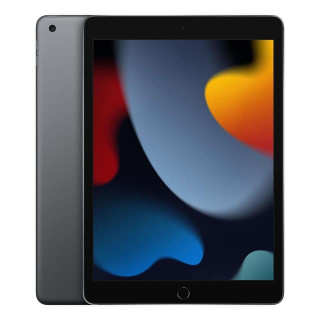 Ricondizionato Apple iPad 9th 256GB WIFI+LTE 10.2" Space Gray