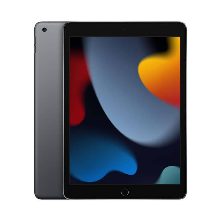 Ricondizionato Apple iPad 9th 256GB WIFI+LTE 10.2" Space Gray