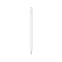 APPLE PENCIL MUWA3ZM/A (USB-C 2023) per iPad (10° gen. 2022 in poi) Air (4-5° gen) Pro 12,9" (3° gen in poi) Pro 11" (1-3° gen)