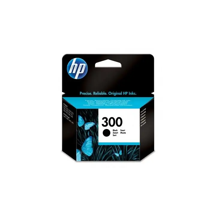 CARTUCCIA HP 300 NERO