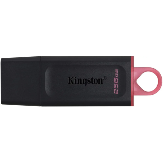 PEN DRIVE KINGSTON DTX/256GB