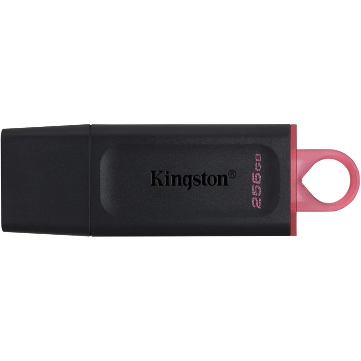 PEN DRIVE KINGSTON DTX/256GB