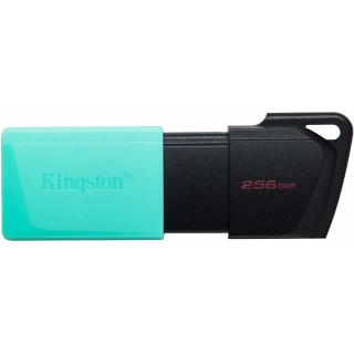 PEN DRIVE KINGSTON DTXM/256GB