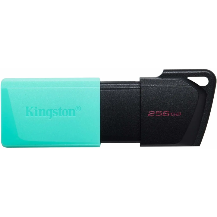 PEN DRIVE KINGSTON DTXM/256GB
