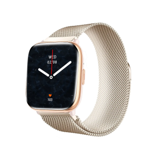 TREVI SMART TRACKER 265A GOLD FIT